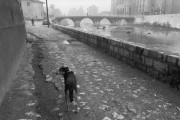 sniper_alley_abbas_attar_01