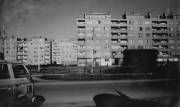 Photo Copyright © Alex Elena