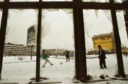 Photo Copyright © Danilo Krstanovic