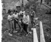Photo Copyright © Francesco Profera