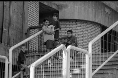 Photo Copyright © Francesco Profera