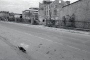 sniper_alley_frankie_quinn_41