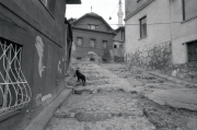 sniper_alley_frankie_quinn_41