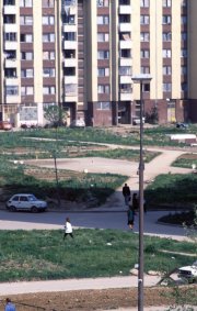 sniper_alley_frankie_quinn_41