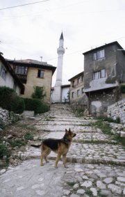 sniper_alley_frankie_quinn_41