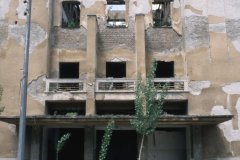 sniper_alley_frankie_quinn_22