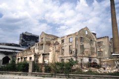 Photo Copyright © Frankie Quinn