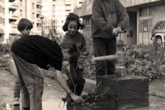 Photo Copyright © Gilbert Le Vast