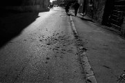 Photo Copyright © Gin Angri