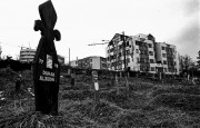 Photo Copyright © Isabella Balena