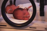 Birth Clinic