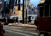 Photo Copyright © Livio