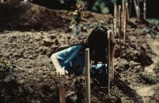 sniper_alley_roger_hutchings_08