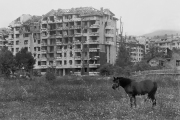 Photo Copyright © Massimo D'amato