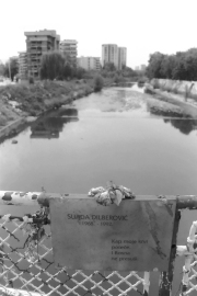 Photo Copyright © Massimo D'amato