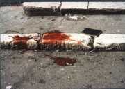 sniper_alley_maurizio_avogadri_ramakavya_19