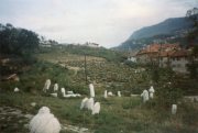 sniper_alley_maurizio_avogadri_ramakavya_19