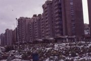 sniper_alley_maurizio_avogadri_ramakavya_19