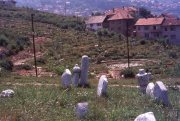 sniper_alley_maurizio_avogadri_ramakavya_19