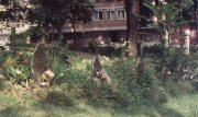 sniper_alley_maurizio_avogadri_ramakavya_19
