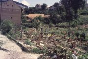 sniper_alley_maurizio_avogadri_ramakavya_19