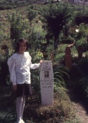 sniper_alley_maurizio_avogadri_ramakavya_19