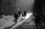 Photo Copyright © Mirza Ajanovic