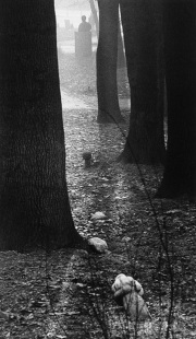 Photo Copyright © Mirza Ajanovic