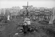 Photo Copyright © Mohsen Rasatani