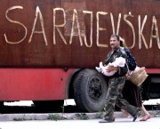 Photo Copyright © Piotr Andrews