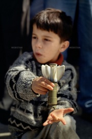 Photo Copyright © Patricia Franceschetti