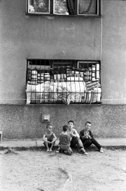 Photo Copyright © Romano Cagnoni