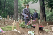 Bosnian Troops