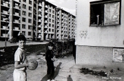 snipera_alley_sean_mckernan_22
