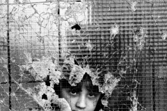 Photo Copyright © Tom Stoddart