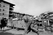 sniper_alley_tomas_muscionico_20