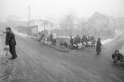 Photo Copyright © Zoran Filipović