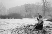 Photo Copyright © Zoran Filipović