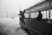 Photo Copyright © Zoran Filipović