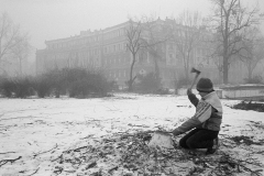 Photo Copyright © Zoran Filipović