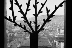 Photo Copyright © Zoran Filipović