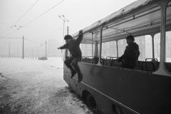 Photo Copyright © Zoran Filipović